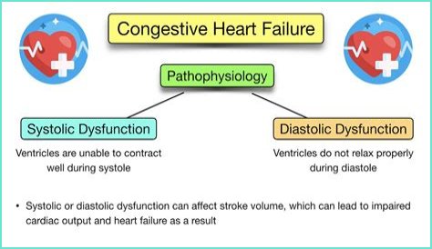 Heart Failure And The Plight Of Extreme Obesity